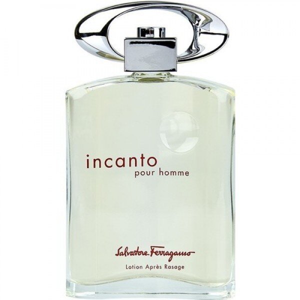 Salvatore Ferragamo Incanto EDT 100 ml Erkek Parfümü kullananlar yorumlar
